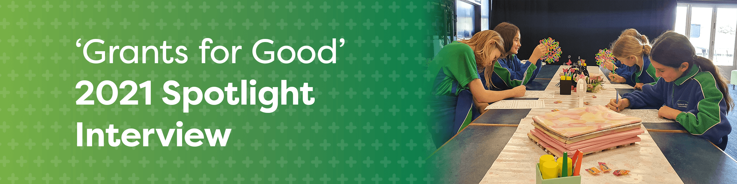 Hawkes Bay Trellis Trust 2021 Grantee